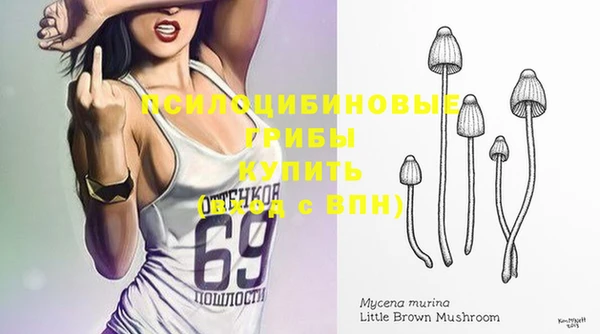 каннабис Алексеевка