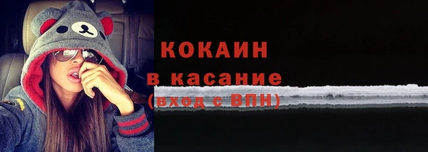 твердый Алексин