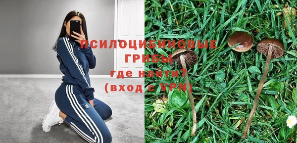 каннабис Алексеевка