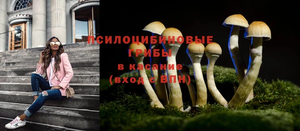 марки nbome Алзамай