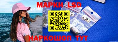 шишки Нарткала