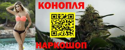 jwh Нальчик